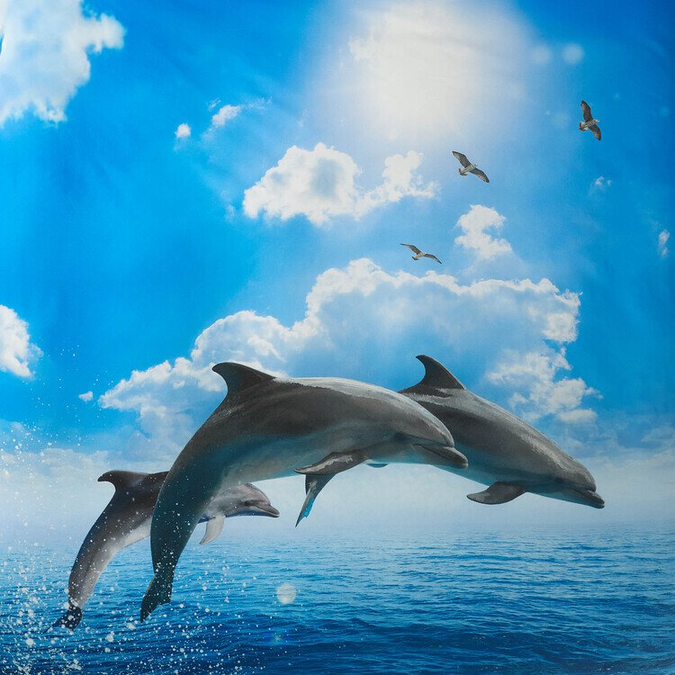 Completo lenzuola Delfini Flipper Azzurro