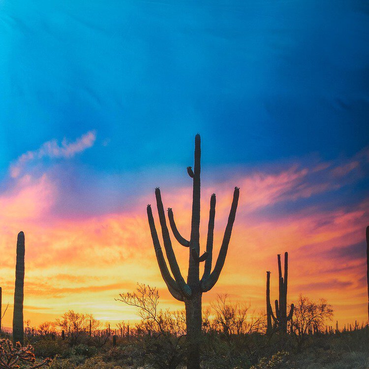 Completo lenzuola National Park - Bassetti