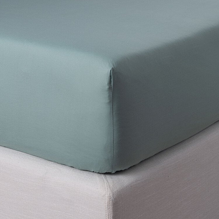 Lenzuolo sotto con angoli Percalle - Zucchi