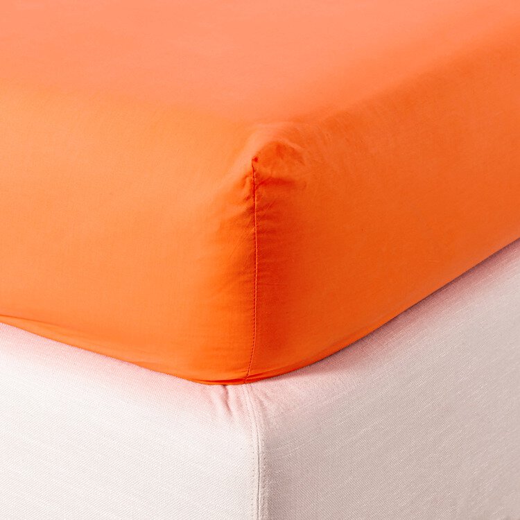 Lenzuolo sotto con angoli Percalle - Zucchi