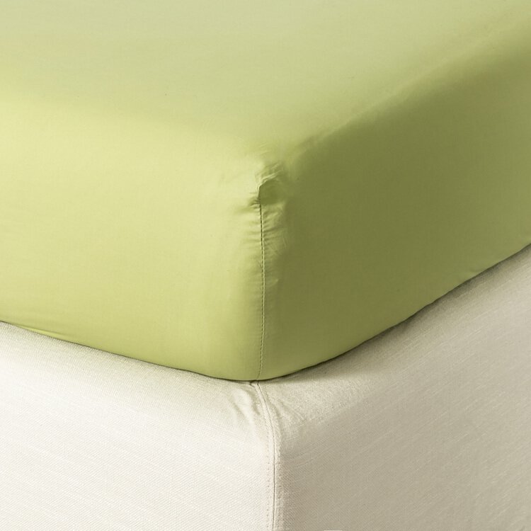 Lenzuolo sotto con angoli Percalle - Zucchi