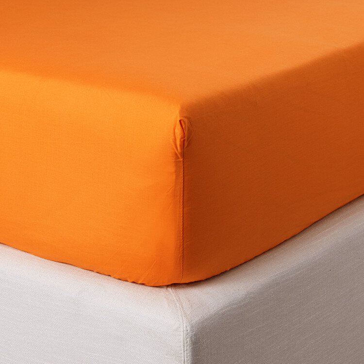 Lenzuolo sotto con angoli Percalle - Zucchi