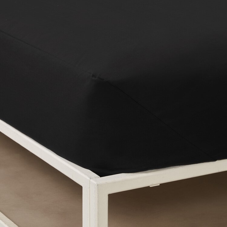 Lenzuolo sotto con Angoli Pop Color - Bassetti