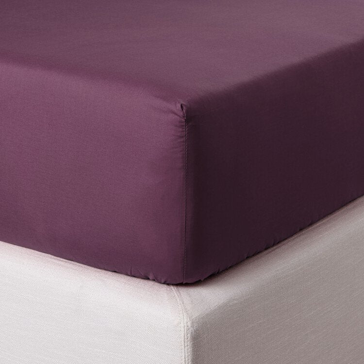 Lenzuolo sotto con angoli Percalle - Zucchi