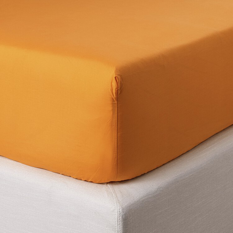 Lenzuolo sotto con angoli Percalle - Zucchi